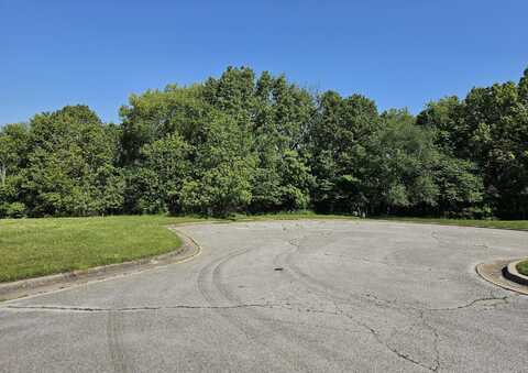 Lot 6 Fox Haven Drive, Mount Vernon, MO 65712