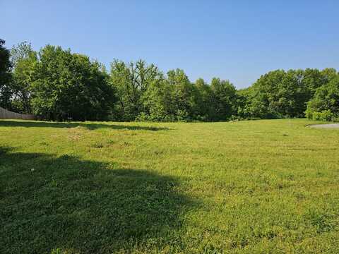 Lot 11 Fox Haven Drive, Mount Vernon, MO 65712
