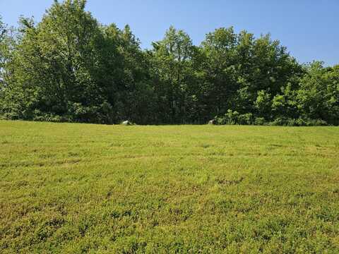 Lot 10 Fox Haven Drive, Mount Vernon, MO 65712