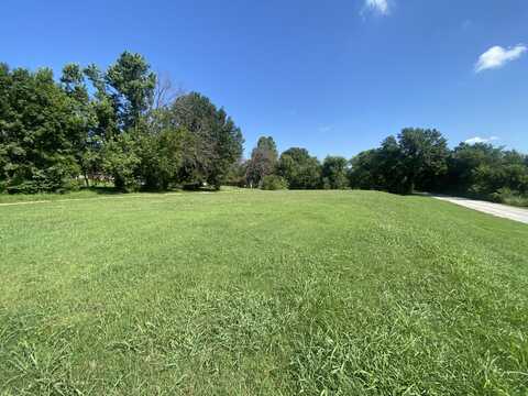 310 Gulf Street, Walnut Grove, MO 65770