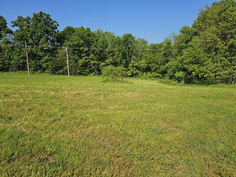 Lot 7 Fox Haven Drive, Mount Vernon, MO 65712