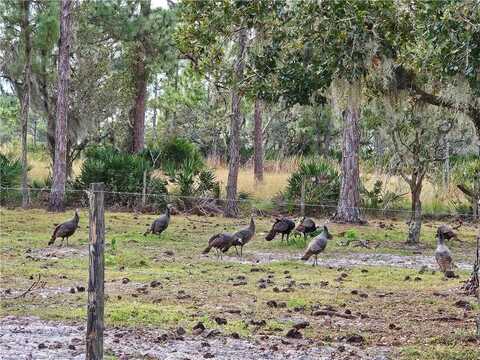 0 Henry Drive, Venus, FL 33960