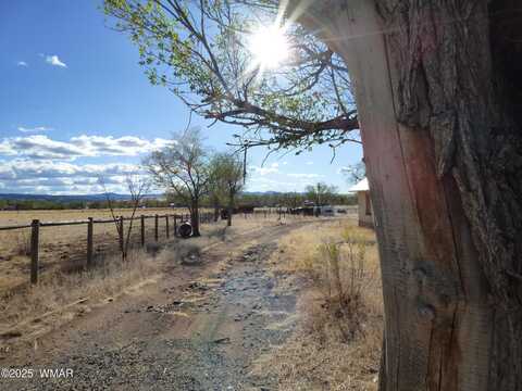 325 S Papago Street, Springerville, AZ 85938