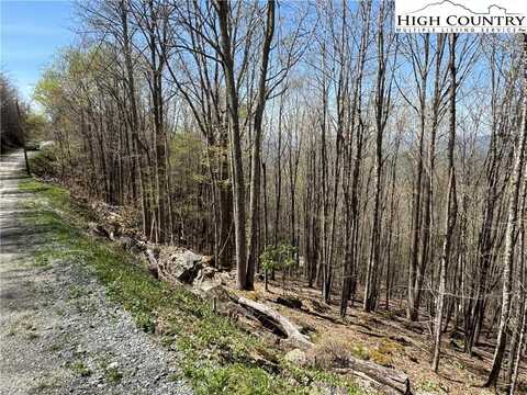 137,139,141,And 143 W Blueberry Lane, Beech Mountain, NC 28604