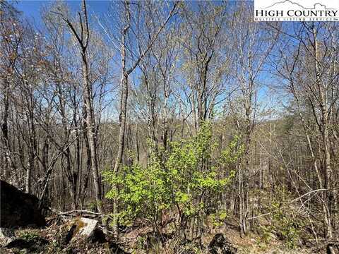 137 And 139 W Blueberry Lane, Beech Mountain, NC 28604