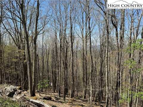 141 And 143 W Blueberry Lane, Beech Mountain, NC 28604