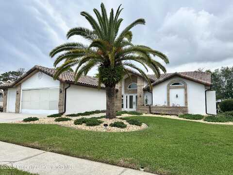 10519 Audie Brook Drive, Spring Hill, FL 34608