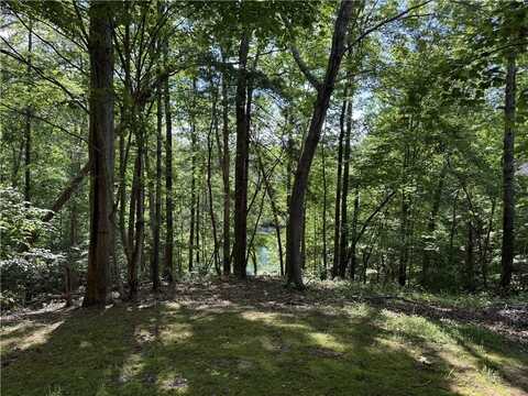 601 Wind Flower Drive, Sunset, SC 29685