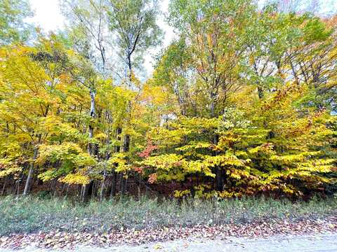 Trout Creek Road lot: 16, Cheboygan, MI 49721