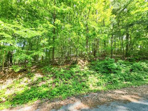 208 Sara Lane, Maynardville, TN 37807