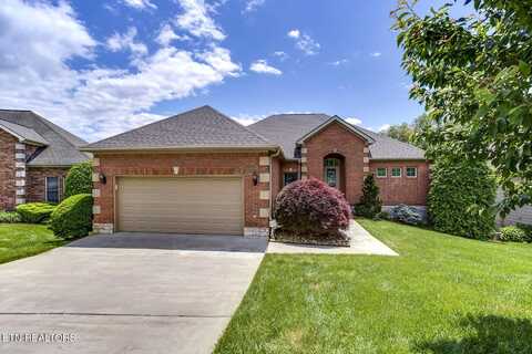 245 Coyatee Shores Trace, Loudon, TN 37774