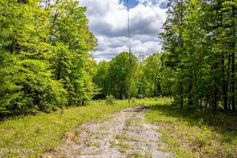 Vista Drive, Spring City, TN 37381