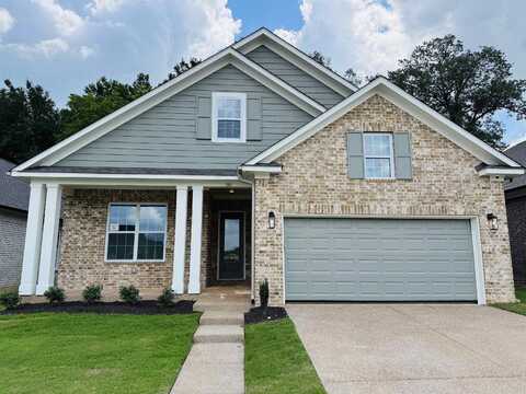 310 DELPHINIUM, Cordova, TN 38018