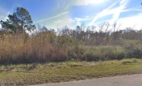 01 Riverside Drive, Pearlington, MS 39572
