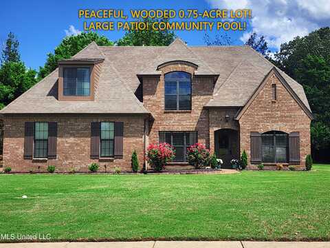 4120 Mitchell Place, Olive Branch, MS 38654