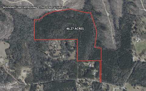 Nelson Road, Poplarville, MS 39470