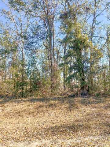 0 NW PIN OAK LANE, JENNINGS, FL 32053