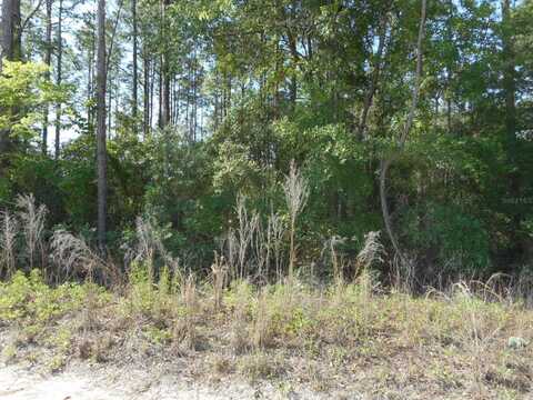 SW 51ST LANE, DUNNELLON, FL 34432