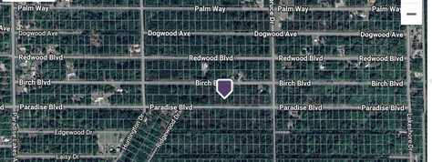 824 PARADISE, GEORGETOWN, FL 32139