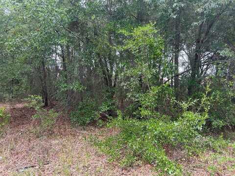 NW 17TH STREET, OCALA, FL 34482