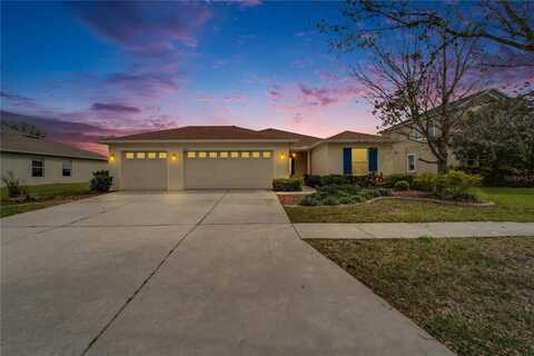 5325 SANDY SHELL DRIVE, APOLLO BEACH, FL 33572