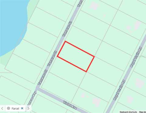 TAMARAC STREET, EUSTIS, FL 32736