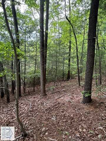 00 Hatchers Chapel Rd, Claudville, VA 24076