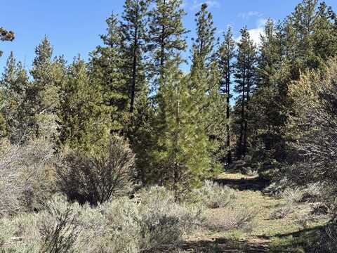 Drews Gap Lane, Lakeview, OR 97630