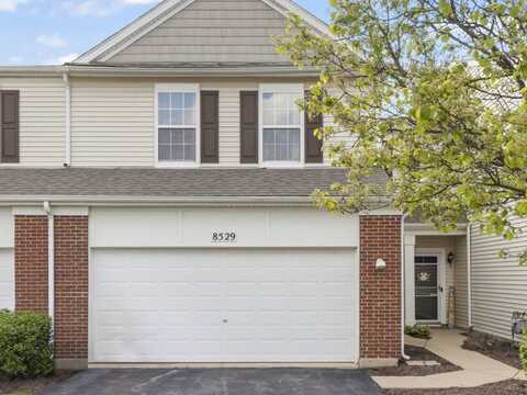 8529 Sawyer Court, Joliet, IL 60431