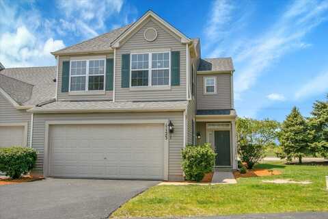 1123 Coneflower Court, Minooka, IL 60447