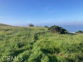 588 Chaney Avenue, Cayucos, CA 93430