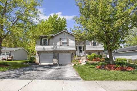 895 Meadowbrook Road, Elwood, IL 60421