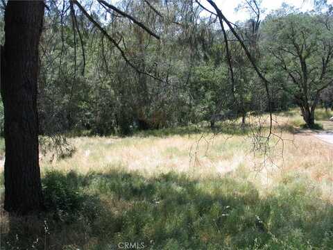 211 Lemon Hill Drive, Oroville, CA 95966