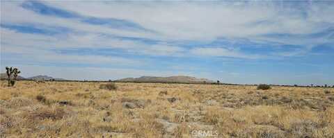 0 120TH ST E / Avenue P-8, Palmdale, CA 93591