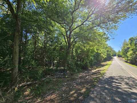 Lot 1 County Road 60, Gaylesville, AL 35973