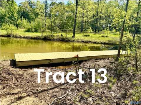 Tract 13 County Road 534, Centre, AL 35960