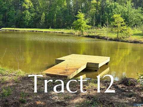 Tract 12 County Road 534, Centre, AL 35960