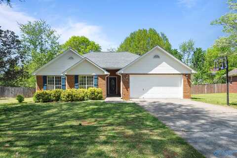 113 Garden Brook Drive, Madison, AL 35758