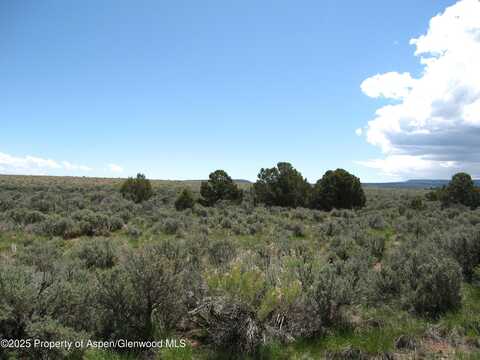 15310 DS Road, Glade Park, CO 81523