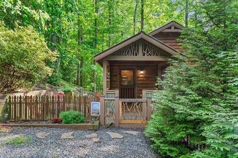 23 Holly Hollow Court, Cherry Log, GA 30522