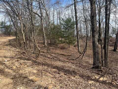 Tract B TBD Wooton, West Fork, AR 72774