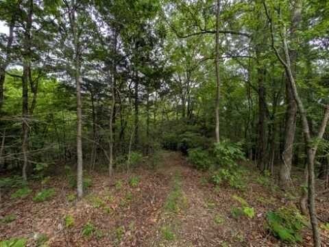 Sutton PL, Harrison, AR 72601