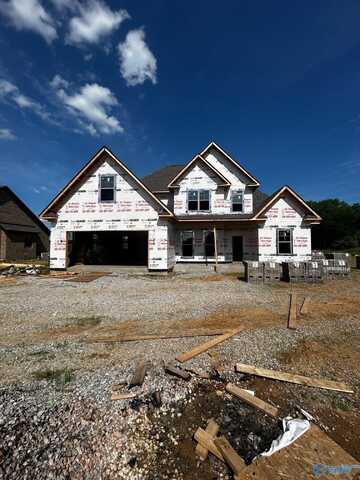 799 Tipton Road, Rogersville, AL 35652