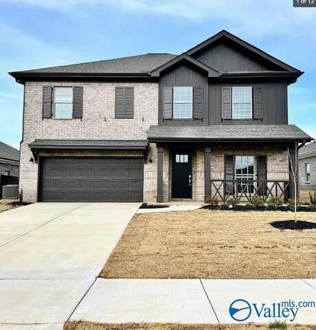 119 Willow Rose Lane, Madison, AL 35757