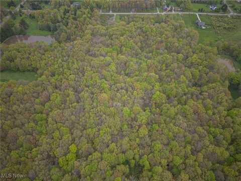 V/L Stafford Road, Chagrin Falls, OH 44023
