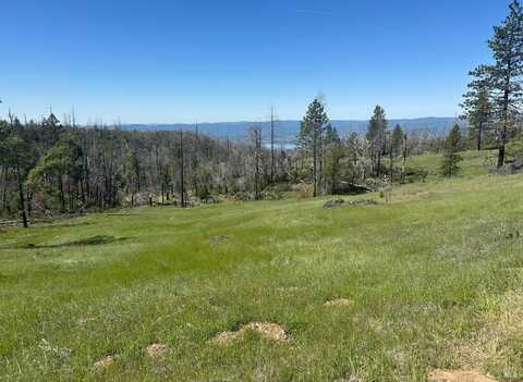 8191 Deer Valley Road, Lucerne, CA 95458