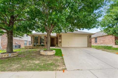 6113 Tilapia Drive, Fort Worth, TX 76179