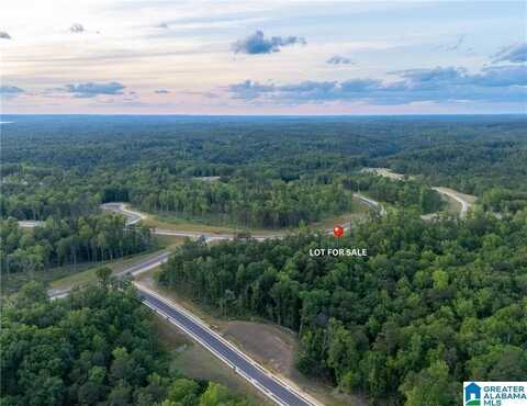 9 LAKE ISLAND ROAD, TUSCALOOSA, AL 35406