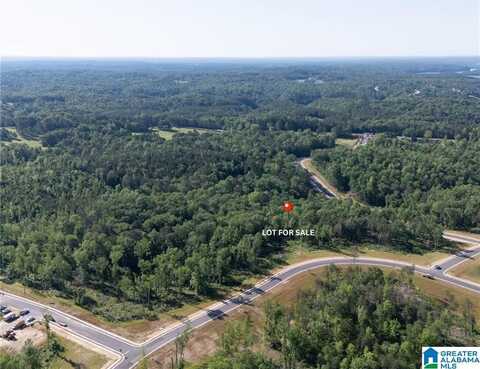 10 LAKE ISLAND ROAD, TUSCALOOSA, AL 35406