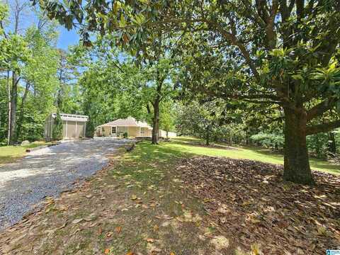 1105 NEWTON ROAD, SPRINGVILLE, AL 35146